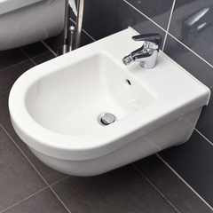 Bidet Toilet Seat