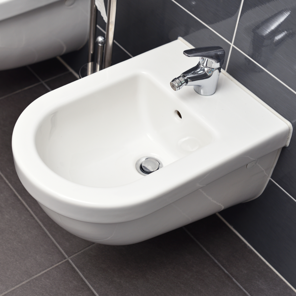 Bidet Toilet Seat